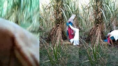 अंकल ने जवान लड़की को खेत में चोदा
