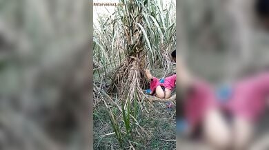 अंकल ने जवान लड़की को खेत में चोदा