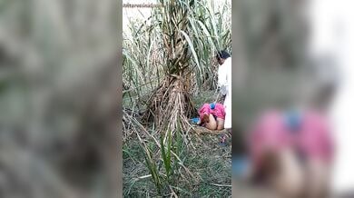 अंकल ने जवान लड़की को खेत में चोदा