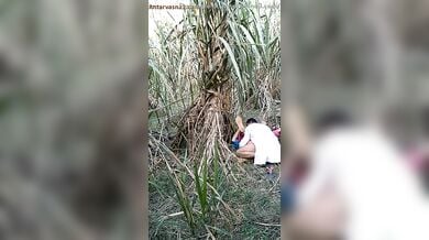 अंकल ने जवान लड़की को खेत में चोदा