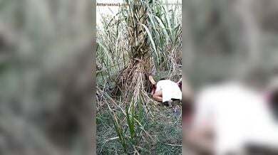 अंकल ने जवान लड़की को खेत में चोदा