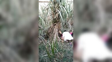 अंकल ने जवान लड़की को खेत में चोदा