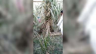 अंकल ने जवान लड़की को खेत में चोदा