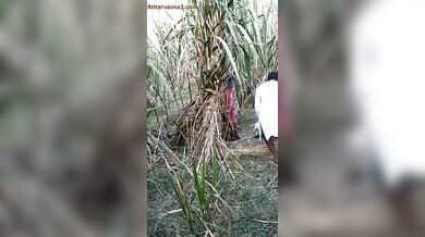 अंकल ने जवान लड़की को खेत में चोदा