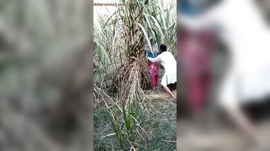 अंकल ने जवान लड़की को खेत में चोदा