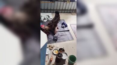 जवान लड़का लड़की की चुदाई का १९ मिनिट जैसा देसी वर्जन