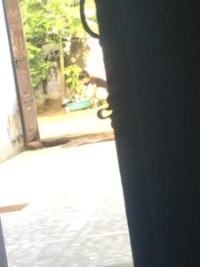 No Sex Kahani Hindi